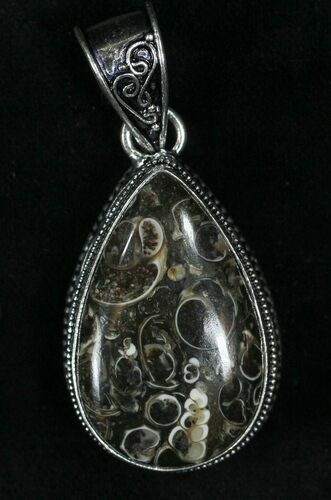 Fossil Turritella (Gastropod) Pendant - Sterling Silver #22633